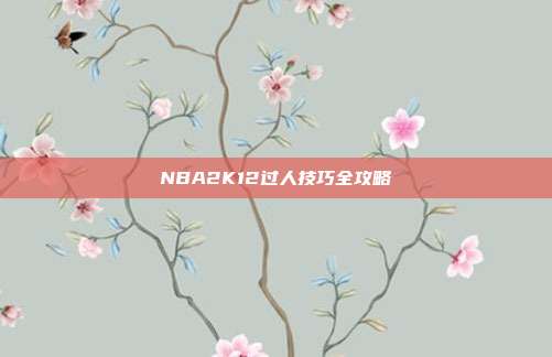 NBA2K12过人技巧全攻略