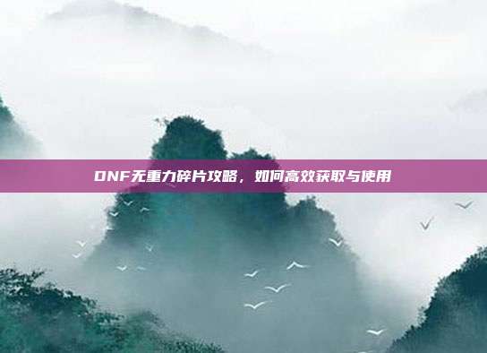 DNF无重力碎片攻略,如何高效获取与使用