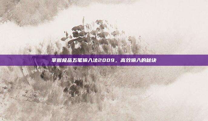 掌握极品五笔输入法2009,高效输入的秘诀