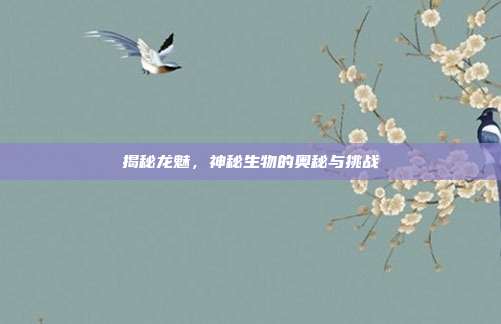 揭秘龙魅,神秘生物的奥秘与挑战