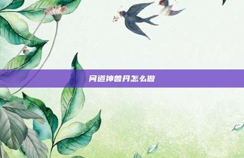 问道神兽丹怎么做