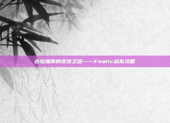 古拉加斯的逆袭之路——Fnatic战队攻略