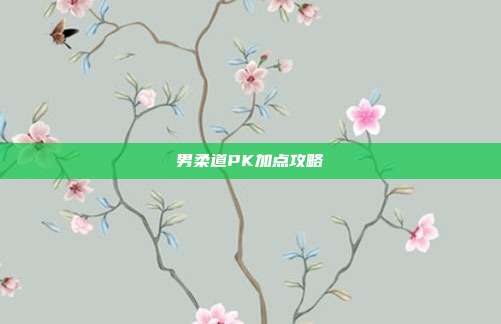 男柔道PK加点攻略