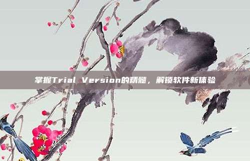 掌握Trial Version的精髓,解锁软件新体验