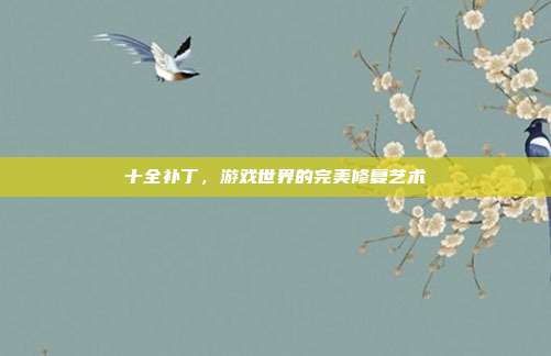 十全补丁,游戏世界的完美修复艺术