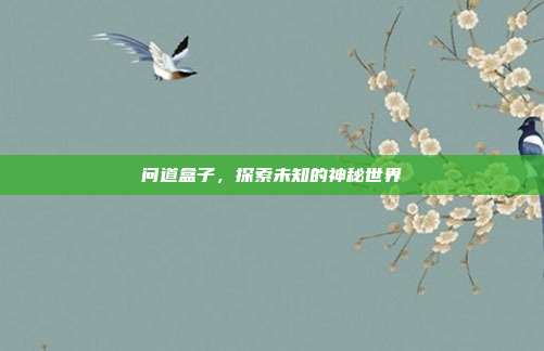 问道盒子,探索未知的神秘世界