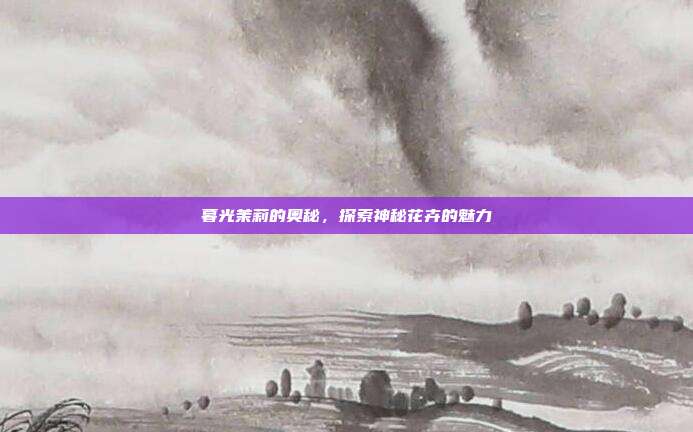暮光茉莉的奥秘,探索神秘花卉的魅力