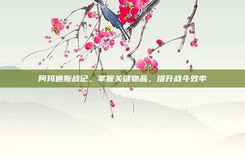 阿玛迪斯战记,掌握关键物品,提升战斗效率