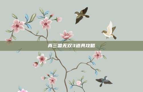 真三国无双3道具攻略