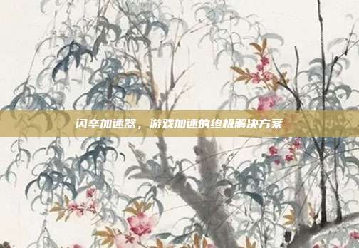 闪卒加速器,游戏加速的终极解决方案