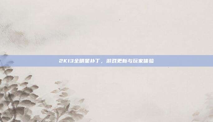 2K13全明星补丁,游戏更新与玩家体验
