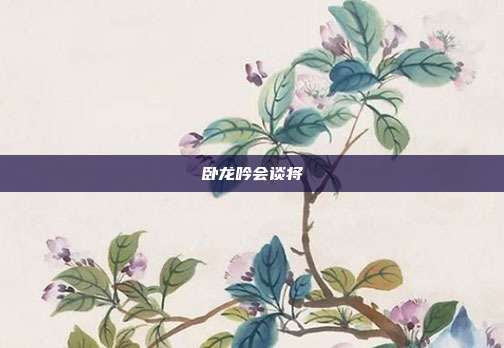卧龙吟会谈将