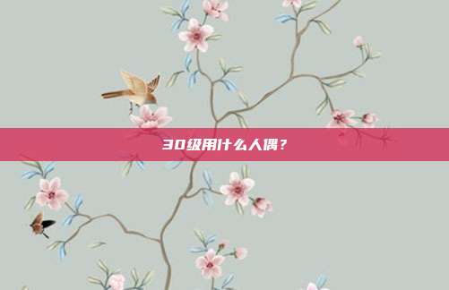 30级用什么人偶?