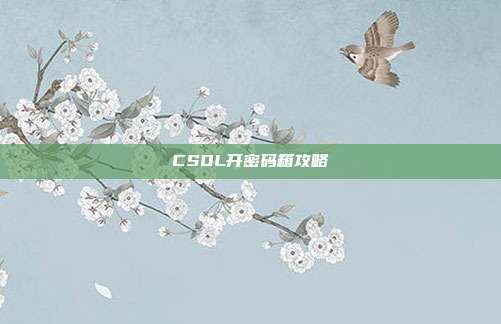 CSOL开密码箱攻略