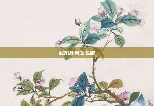 泥水任务怎么做