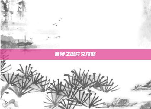 首领之傲符文攻略