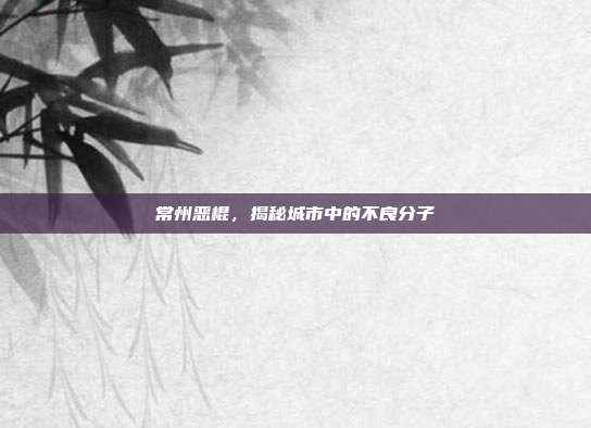 常州恶棍,揭秘城市中的不良分子