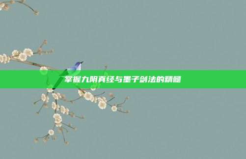 掌握九阴真经与墨子剑法的精髓