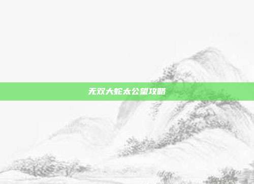 无双大蛇太公望攻略