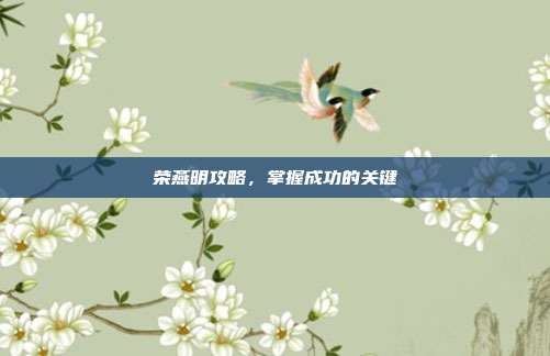 荣燕明攻略,掌握成功的关键