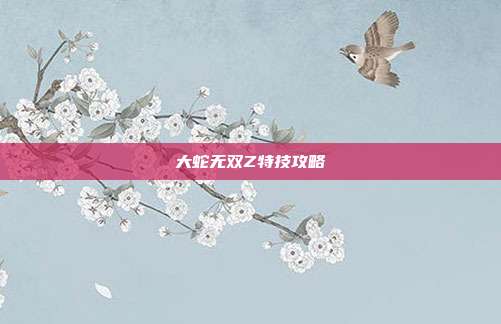 大蛇无双Z特技攻略