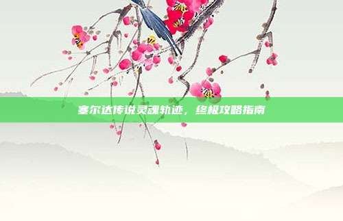 塞尔达传说灵魂轨迹,终极攻略指南