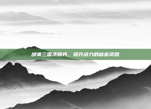 胡莱三国洗髓丹,提升战力的秘密武器
