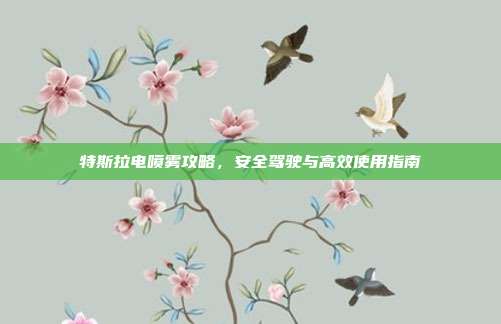 特斯拉电喷雾攻略,安全驾驶与高效使用指南
