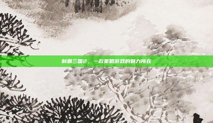 制霸三国2,一款策略游戏的魅力所在