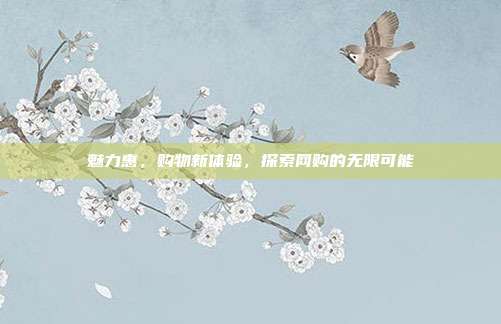 魅力惠,购物新体验,探索网购的无限可能