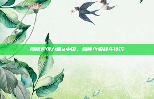 揭秘超级力量2中国,解锁终极战斗技巧