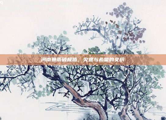河南暴雨破极值,灾难与希望的交织