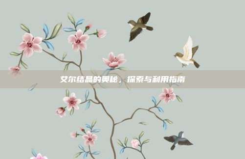 艾尔结晶的奥秘,探索与利用指南