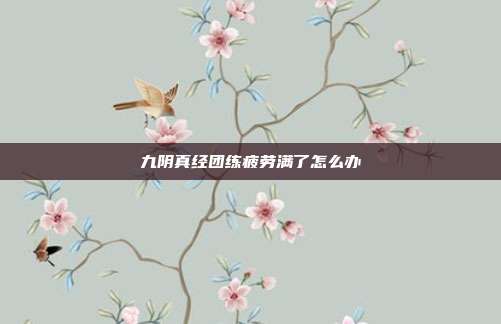 九阴真经团练疲劳满了怎么办