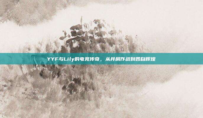 YYF与Lily的电竞传奇,从并肩作战到各自辉煌