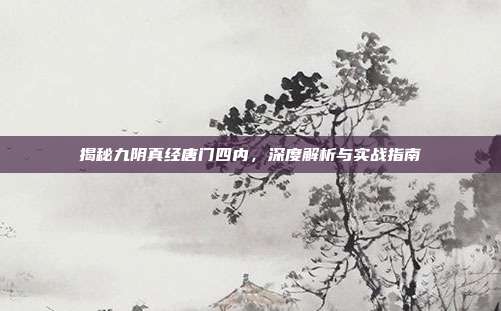 揭秘九阴真经唐门四内,深度解析与实战指南