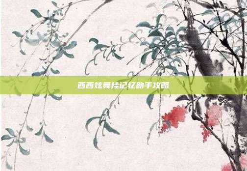 西西炫舞挂记忆助手攻略