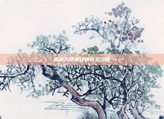 揭秘九阴真经锦衣卫三内