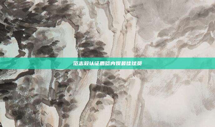 范志毅认证鹿晗内娱最佳球员