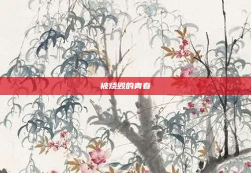 被烧毁的青春