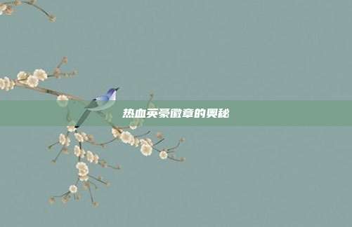热血英豪徽章的奥秘