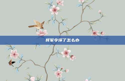 将军令坏了怎么办