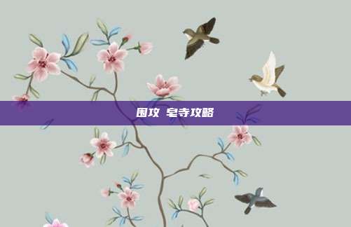 围攻砮皂寺攻略
