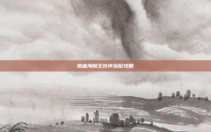 热血海贼王伙伴搭配攻略