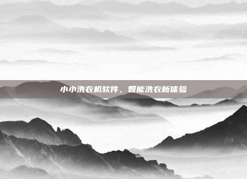 小小洗衣机软件,智能洗衣新体验