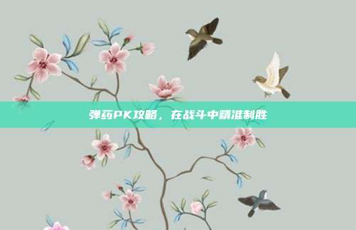 弹药PK攻略,在战斗中精准制胜