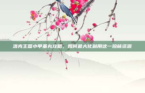 洛克王国小甲基丸攻略,如何最大化利用这一珍稀资源