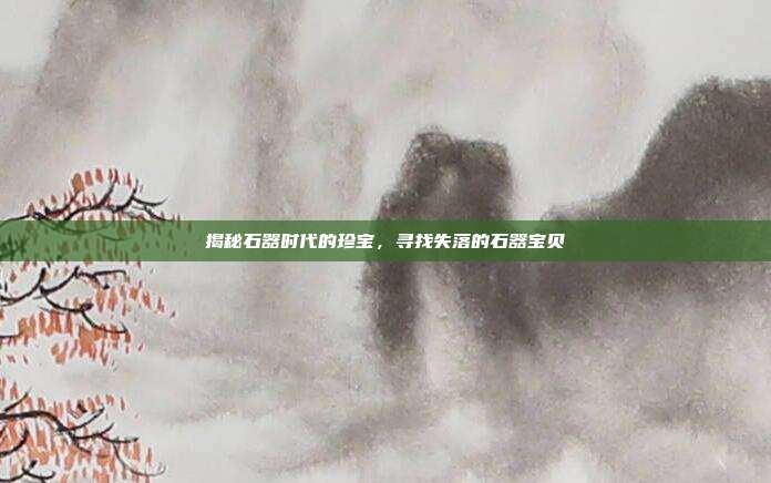 揭秘石器时代的珍宝,寻找失落的石器宝贝
