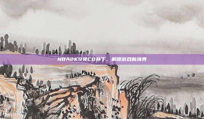 NBA2K9免CD补丁,解锁游戏新境界