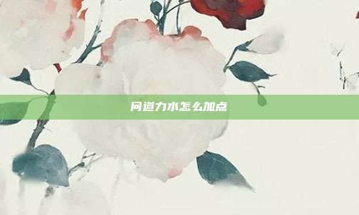 问道力水怎么加点